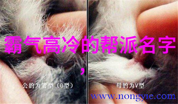 门派拳种螳螂拳