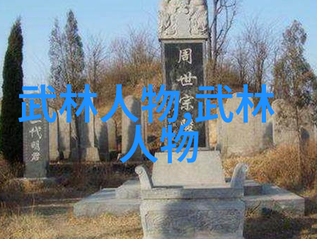 青城山功夫现任掌门人何道君图文