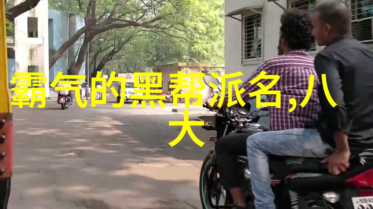 门派拳种儒家拳