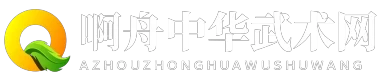 啊舟中华武术网